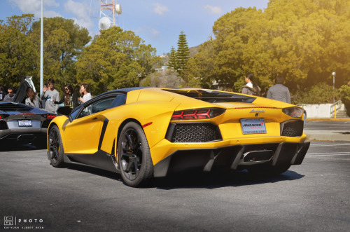 automotivated:  quickstrike (by openmoney)