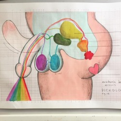 elcharly:  DICKOLOGY fig.13. Anatomy of a Rainbow 😂😋🌈  (en Mexico City, Mexico)