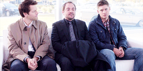 deansdamnation:  it takes mark and misha till the third gif to realize how ridiculous they are, but 