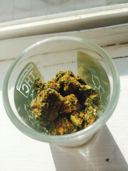 p0rn0gryfk:  Happy weed jar