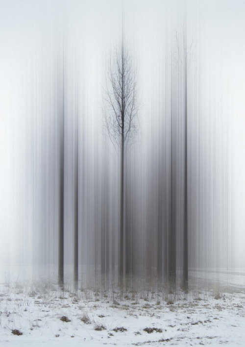 unicorn-meat-is-too-mainstream:  Ellen Jantzen’s Arresting Photo series ‘Disturbing The 