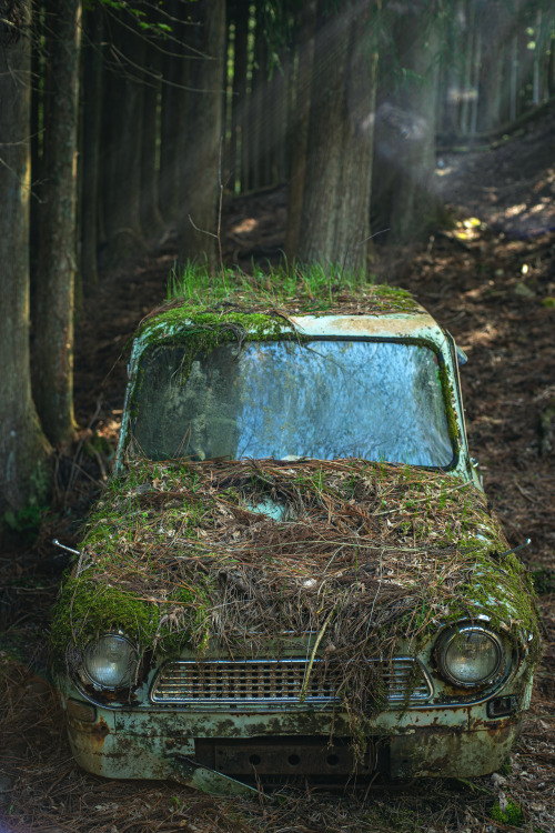 廃ゼットバン→詳細 Abandoned Hijet van.