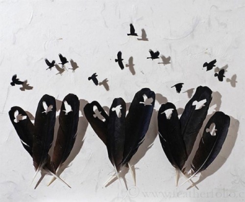 shadesofmauve: ursulavernon: jedavu: Feather Art by Chris Maynard Jesus H. Frogsnoggler. This artist