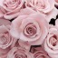 thinlovelybonez