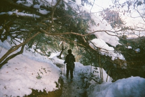 mt.fujiwara feb 15,2017