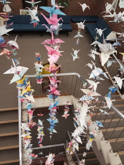 theshyxibitionista:  photochallenge2018:  Birds of a feather, i wish i had more time to light this better but the libraians were not to keen on me turning out the lights lol.  I did not make the cranes these are on diaplay at the college i work at. I