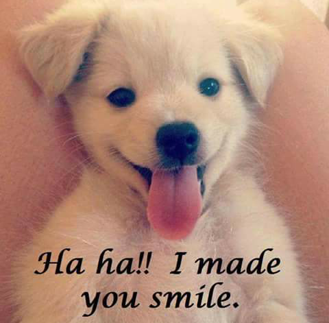 iceman2210:  Yes you did  Visit hdmilez
