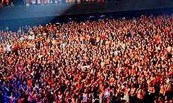 flawlessharry:  One year since the Amsterdam TMH concert (03.05.2013 - 03.05.2014)