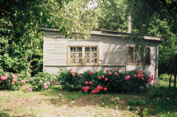 ingelnook:  Summer House by Joe Pepper on Flickr. 