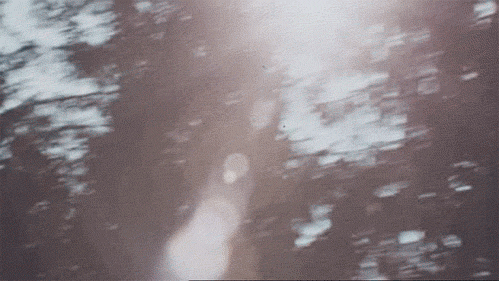riverofbones:  vintage blog ❂