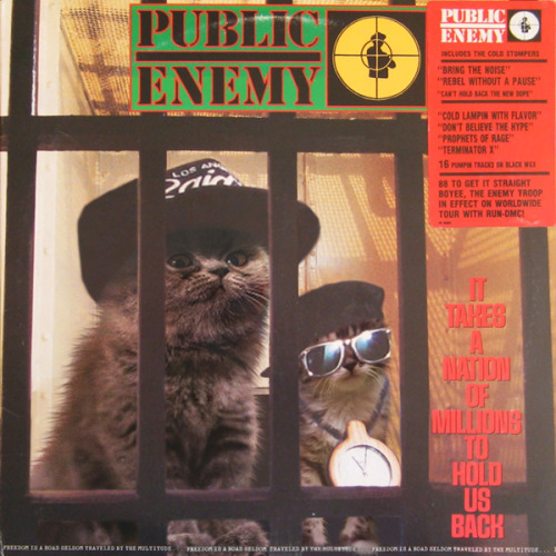 Public Kitteny - It Takes a Nation of Kittens to Hold Us Back