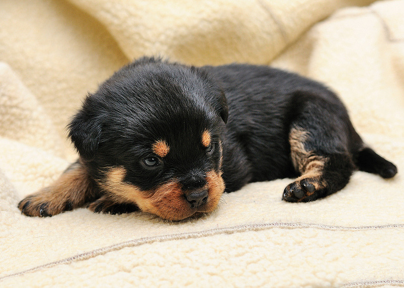 The Cutest Things On The Web!