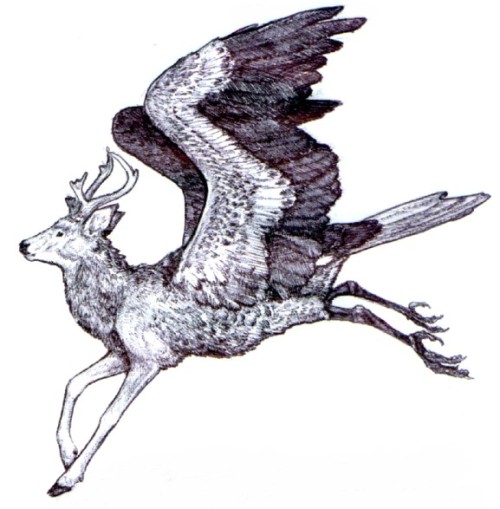 thingswithantlers: A peryton is a mythological creature with the body of a stag and the wings and hi