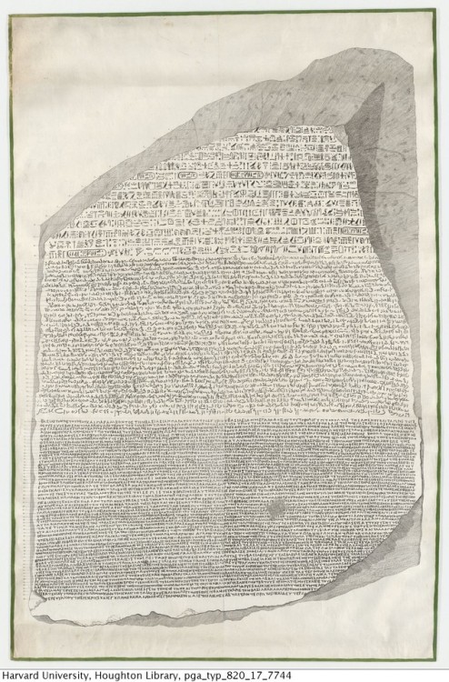 A life-size lithograph of the Rosetta Stone, printed on several sheets and pasted together. Schlicht