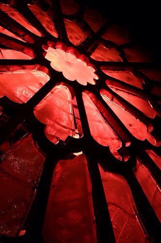 aureum-ghuleh-edits:  This is so aesthetically beautiful. 