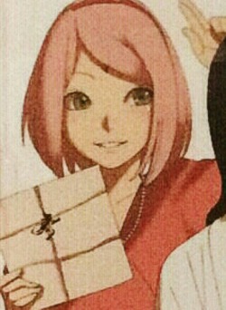 uchihasasukerules:   Sakura with the falcon and letter of Sasuke  