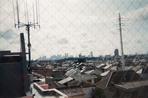 Shinjuku Viewing (FUJI UTSURUNDESU 1600)