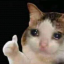 lalameme0