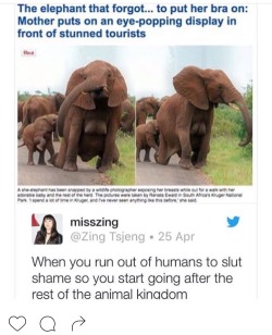 thickasschocolatemermaid:  iverbz:  rapunzel-corona-lite:  iverbz:  youngharlemnigga:  Bro. I ain’t even know elephants had titties  this ruined my life  Ya girl went to the podiatrist for the corns on her feet and you see this hippo frying jeans in