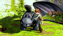 shirehobbit:Dragons Week 2015Day 3 - Favourite Relationship: Hiccup and Toothless