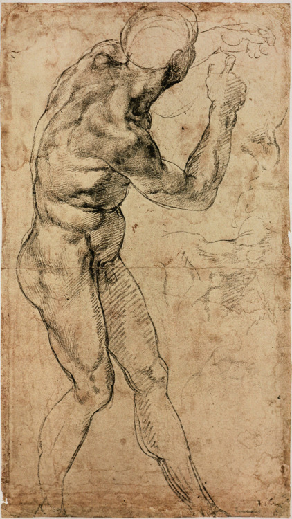 michelangelogallery: Michelangelo Figure Drawing