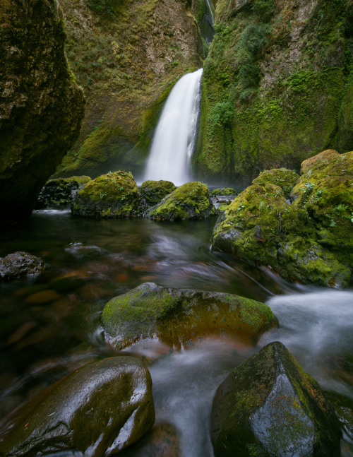 maximiliangreiner: Wahclella Falls, Columbian River Gorge 