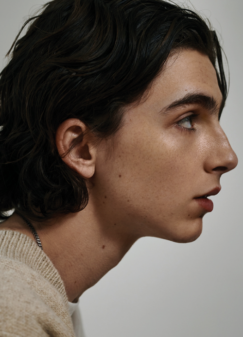 timothees-chalamet:TIMOTHÉE CHALAMET© Collier Schorr | V Man Magazine