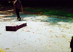 thewalkinggifs:  What Happened and What’s