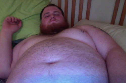 wishes-he-was-king-of-bears:  Well, I took some pictures again. I was showin off my little guy to Chiri. I figured why not share with tumblr! Enjoy! 