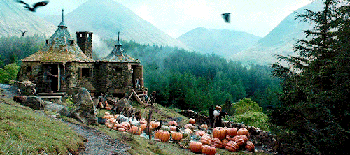 aurrorpotter:   THE HOGWARTS CHALLENGE: [4/5] locations → Hagrid’s Hut “In the smal