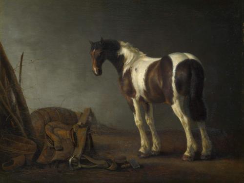 A Brown and White Skewbald Horse with a Saddle beside it, Abraham van Calraet, ca. 1680