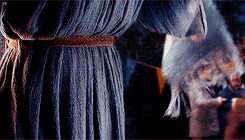 nimrodels:  It was the beginning of an unlikely friendship that has lasted all my