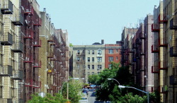 wanderingnewyork:Looking up Elliot Place