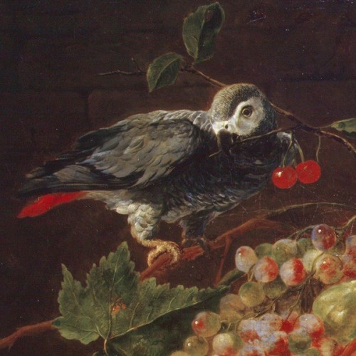&ldquo;Parrot and grapes&rdquo;, Jan Fyt, XVII century.