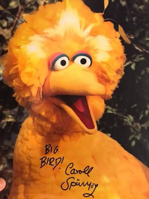 themuppetmasterencyclopedia:Big Bird