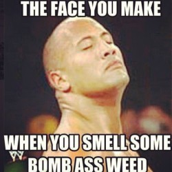 Truest shit ever! #420