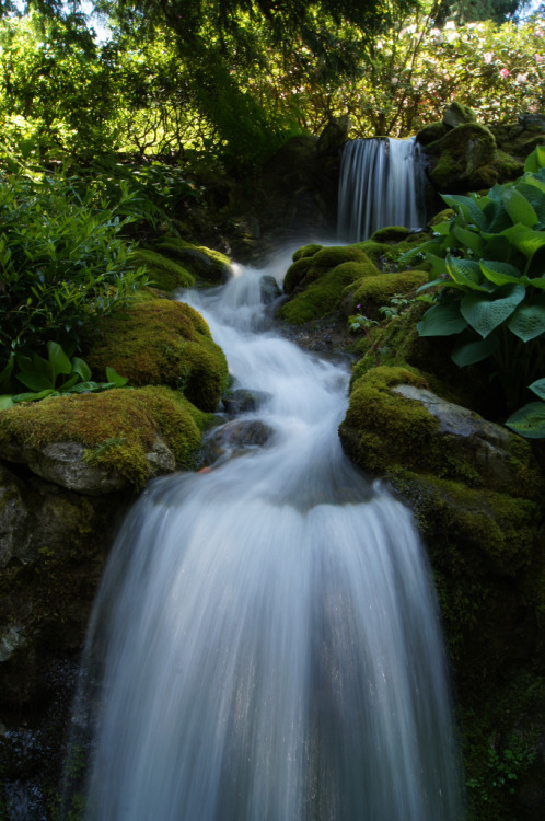 mistymorningme:Minter Gardens by Tjflex2Minter Gardens shots, Chilliwack, BC Canada.