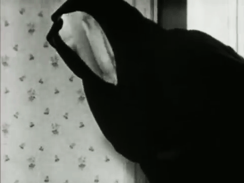 andthefrog: Meshes of the afternoonDirected by: Maya Deren and Alexander Hammid