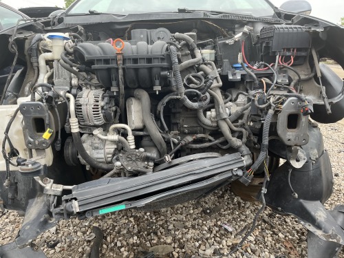 Car Corpse Photos
