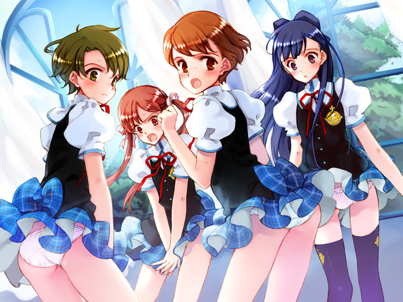 blue blue bird