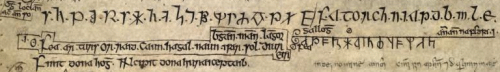 anlagatglas:“Scandinavian ogham” (i.e. runes) from the Lebor Ogaim, a medieval Irish treatise on ogh