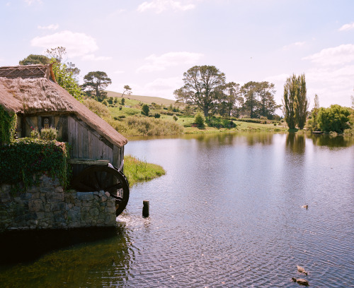 Missing the Shire like a Hobbit misses a foot massage.Hamilton, New Zealand. March 2015.