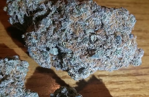 bakin-but-taken:Some really dank bud my bro somehow acquired.Never had that need it