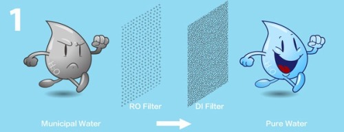 Ozone Disinfectant