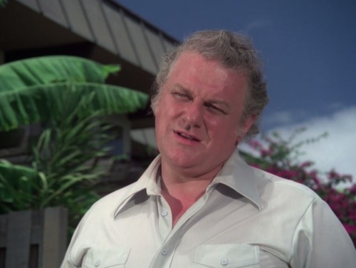 Hawaii Five-O (TV Series) - S8/Ep9, ’Retire in Sunny Hawaii… Forever’ (1975), Charles Durning