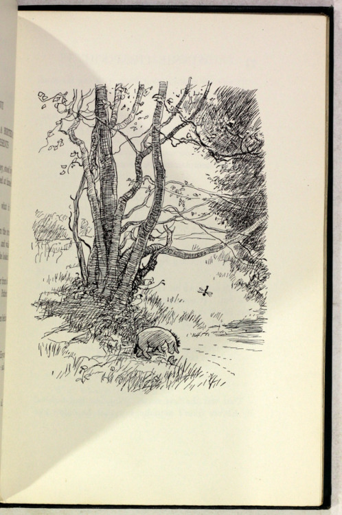 Winnie The Pooh by A A MilneDecorations by Ernest H Shepard London Methuen & Co Ltd. First Publi
