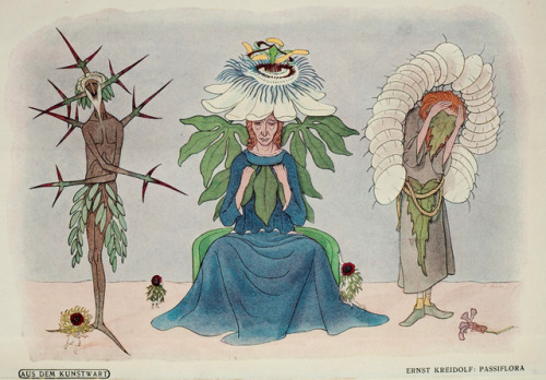 Ernst Kreidolf (1863-1956), ‘Passiflora’, “Deutscher Wille”, 1917Source