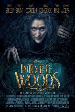 sakurafavjd:  Into The woods new poster!