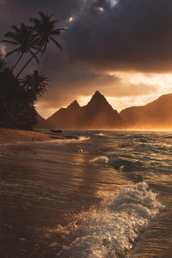 themanliness:      Polynesian Gold by   Andrea