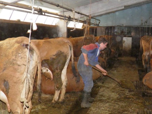 Irish Farmer into Wellies & Overalls